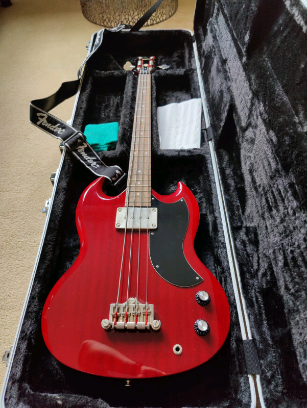 hard shell bass case